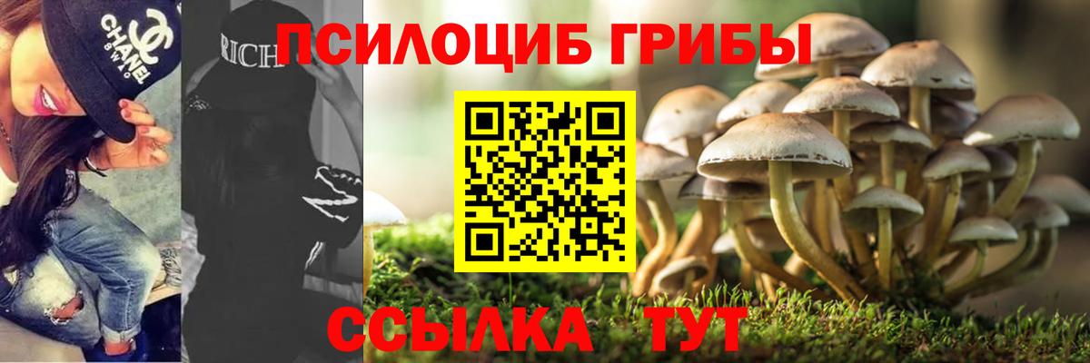 Галлюциногенные грибы ЛСД Муром