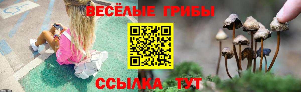 Псилоцибиновые грибы мицелий  Вход с VPN  Муром 